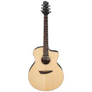 Ibanez PA300E-NSL m/mik & softcase