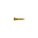 Boston WS-02-G Screw 2,1x10 mm (12-p)
