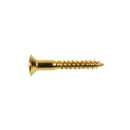 Boston WS-04-G Screw 3,5x25 mm (12-p)