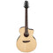 Ibanez PA300E-NSL m/mik & softcase