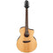 Western gitarr m/mik, PA Series