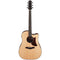 Ibanez AAD400CE-LGS m/mik & case