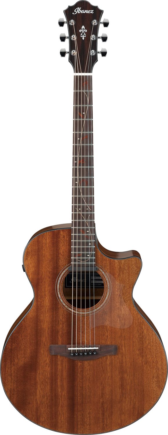 Ibanez AE295-LGS m/mik