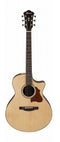 Ibanez AE519-NT