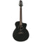 Ibanez JGM10-BSN m.mik & case, Jon Gomm Signature