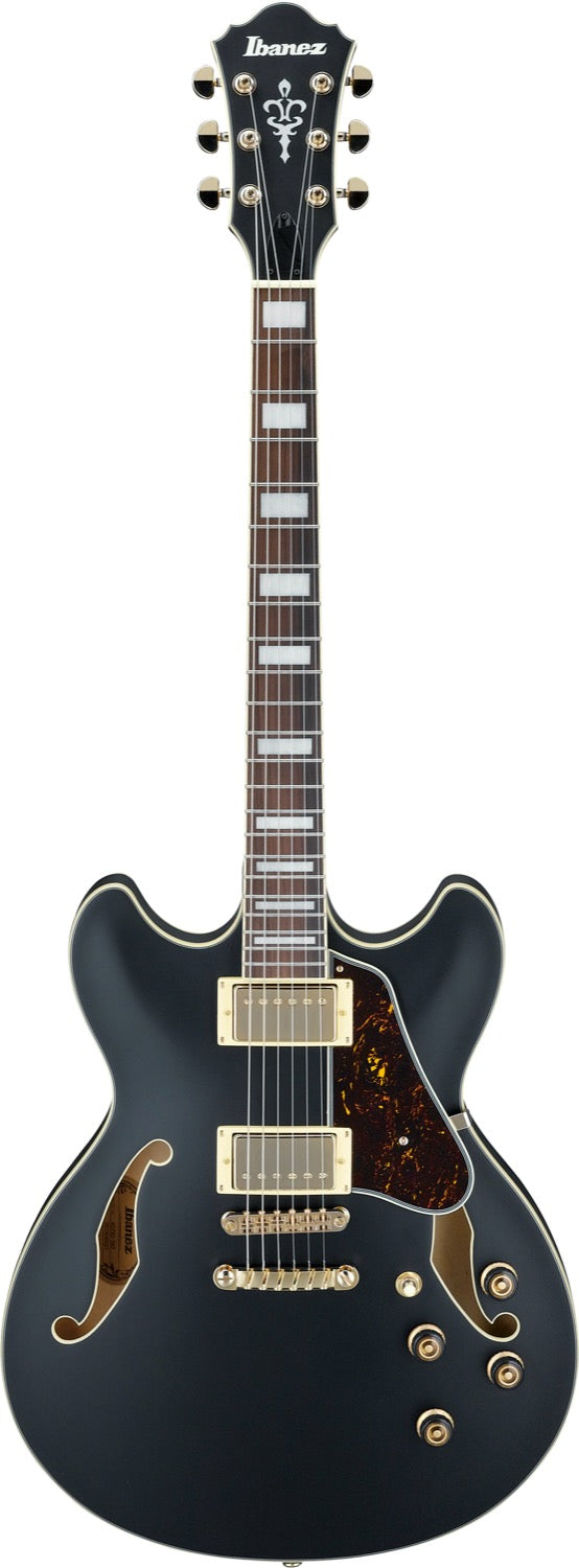 Ibanez Elgitarr