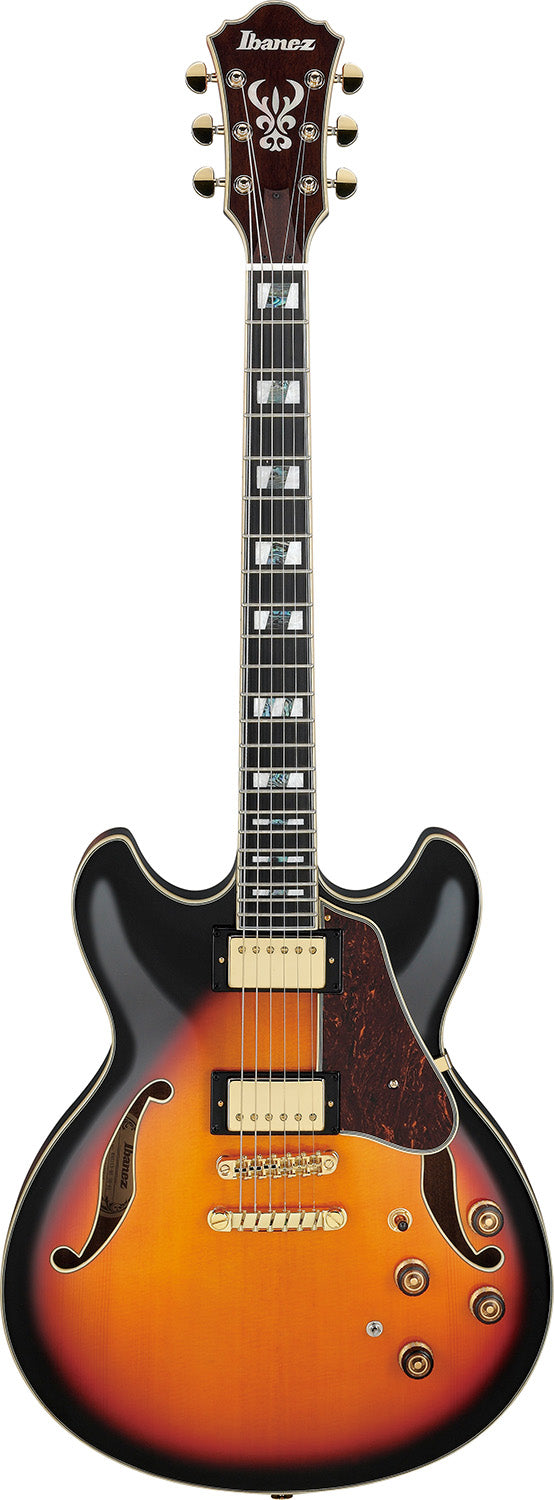 Ibanez Elgitarr