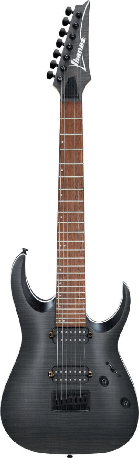 Ibanez Elgitarr
