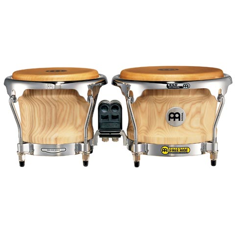 Bongo Coll.