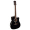 Richwood D-40CE Master Series Dreadnought Black