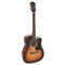 Richwood D-40CE Master Series Dreadnought Sunburst