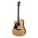 Richwood D-40LCE Master Series Dreadnought Left