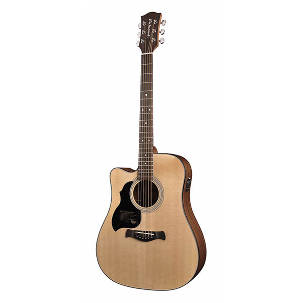 Richwood D-40LCE Master Series Dreadnought Left