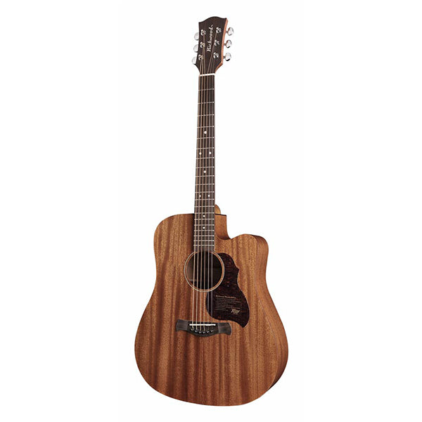 Richwood D-50CE Master Series Dreadnought