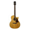 Richwood G-65CEVA Master Series Grand Auditorium