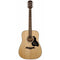 Richwood D-40 Master Series Dreadnought