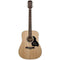 Richwood D-60 Master Series Dreadnought