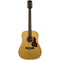 Richwood D-65-VA Master Series Dreadnought