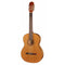 Salvador Cortez CC-06 Student 4/4 Natural