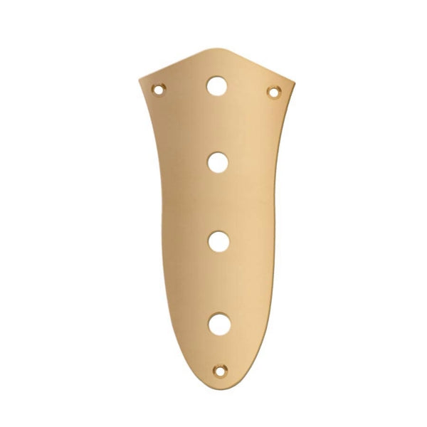 Boston CP-JB-AG Control Plate J-Bass