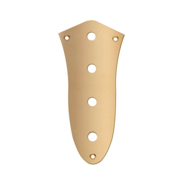 Boston CP-JB-G Control Plate J-Bass