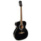 Richwood RA-12 Auditorium Black