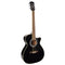 Richwood RA-12CE Auditorium Black