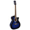 Richwood RA-12CE Auditorium Blue Sunburst