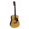 Richwood RD-17-12 Dreadnought Natural