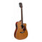 Richwood RD-17C-CE Dreadnought Cedar
