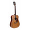 Richwood RD-17C Dreadnought Cedar