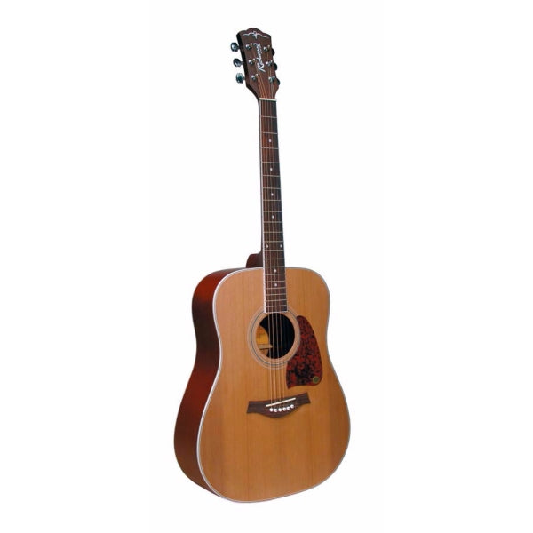 Richwood RD-17C Dreadnought Cedar
