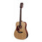 Richwood RD-17L Dreadnought Natural - Left