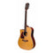 Richwood RD-17LCE Dreadnought Natural - Left