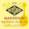 Rotosound RS80 Mandolin Set - Loop End