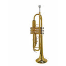 Stewart Ellis SE-1800-L Pro Series Trumpet