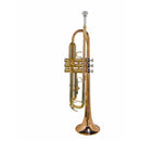 Stewart Ellis SE-1800-M Pro Series Trumpet