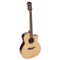 Richwood SWG-150CE Master Series Songwriter R