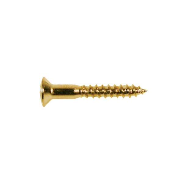 Boston WS-04-G Screw 3,5x25 mm (12-p)